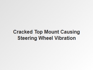 Diagnosing Steering Wheel Vibration From a Cracked Top Mount