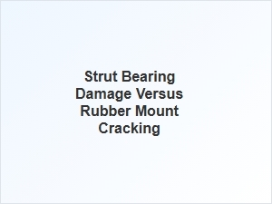 Diagnosing Strut Bearing or Rubber Mount Damage