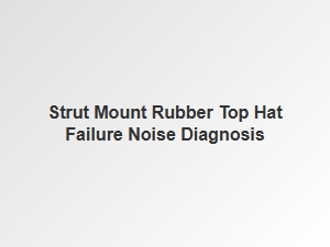 Diagnosing Noise From Strut Mount Top Hat Failure