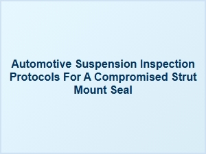 Evaluating Mount Integrity for a Compromised Strut Seal