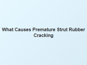 Common Signs of Premature Strut Rubber Cracking
